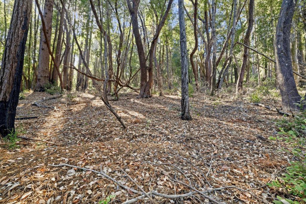 MLS #ML81986063 image #12