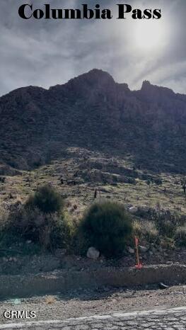 Detail Gallery Image 28 of 39 For 91525 Palm Rd, Baker,  CA 92309 - 2 Beds | 2 Baths