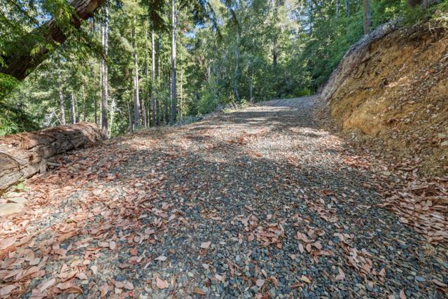19900 Kings Creek Road, Boulder Creek CA: https://media.crmls.org/mediaz/704c6e8d-0a99-43ad-8247-4317cfc2c63a.jpg
