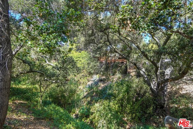 21652 Encina Road photo 17