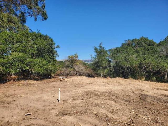 19705 Moonglow Road, Salinas CA: https://media.crmls.org/mediaz/704e3f30-bdb8-4ef8-8e0e-f9d78c957bf8.jpg