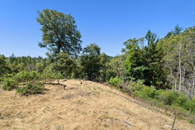 335 Wild Iris Lane, Santa Cruz CA: https://media.crmls.org/mediaz/704f949d-b9ec-4c71-bcd7-566d506b74d1.jpg