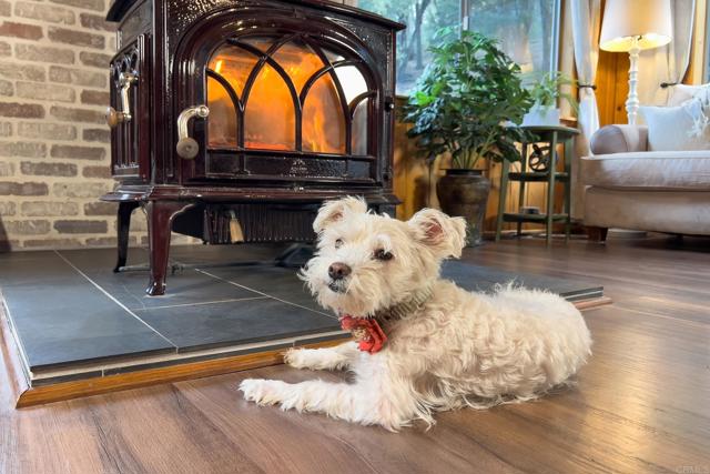 Detail Gallery Image 7 of 61 For 22234 Crestline Rd, Palomar Mountain,  CA 92060 - 3 Beds | 1/1 Baths