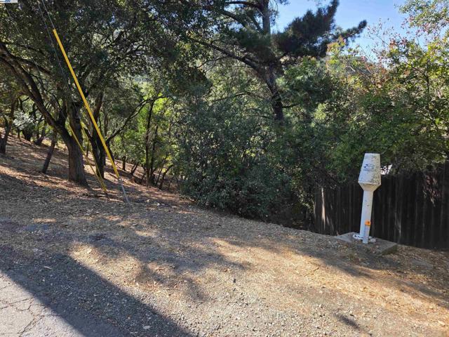 12 Vista Del Orinda, Orinda CA: https://media.crmls.org/mediaz/7056b9cf-f404-4f94-8f1a-0061db2fe392.jpg