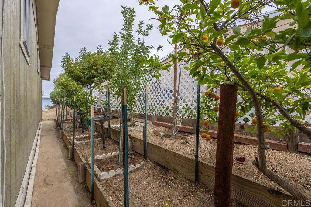 MLS #NDP2510037 image #25