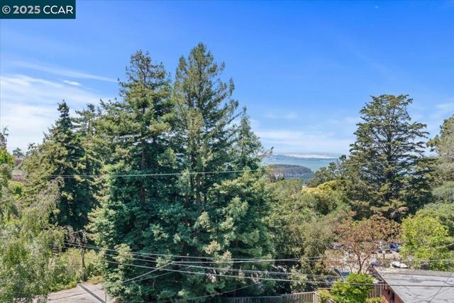 51 Rincon Rd, Kensington CA: https://media.crmls.org/mediaz/705cee3b-f704-4398-84fb-338541773e3d.jpg