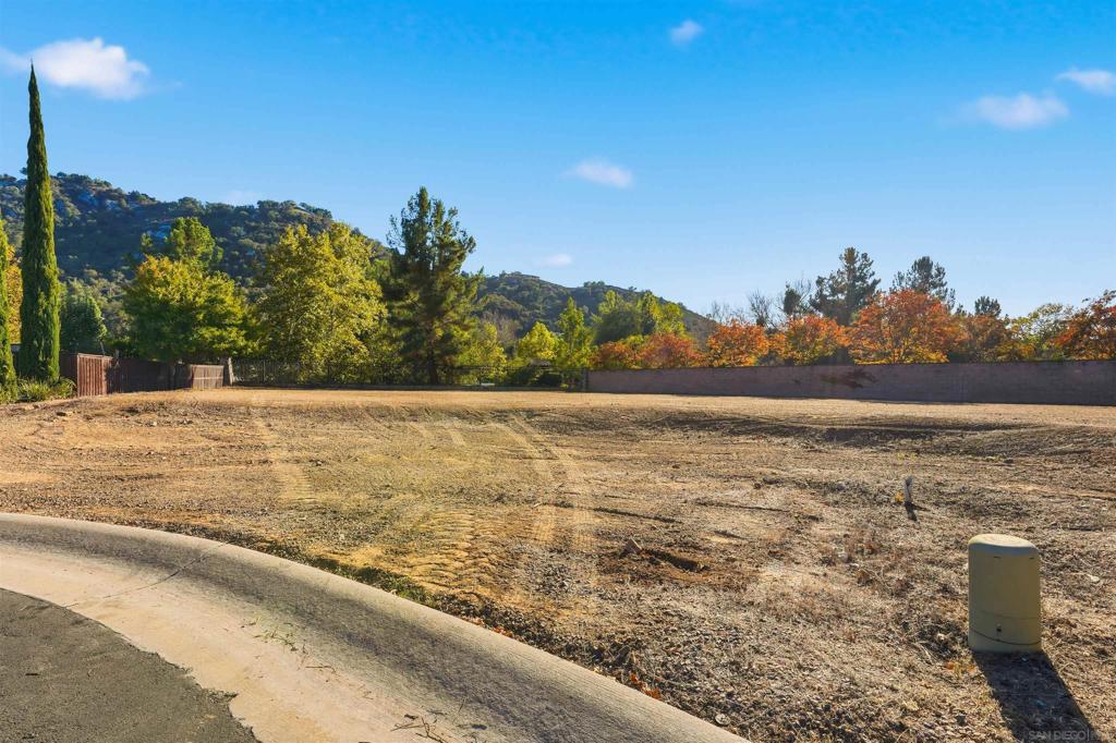 MLS #250043016SD image #11