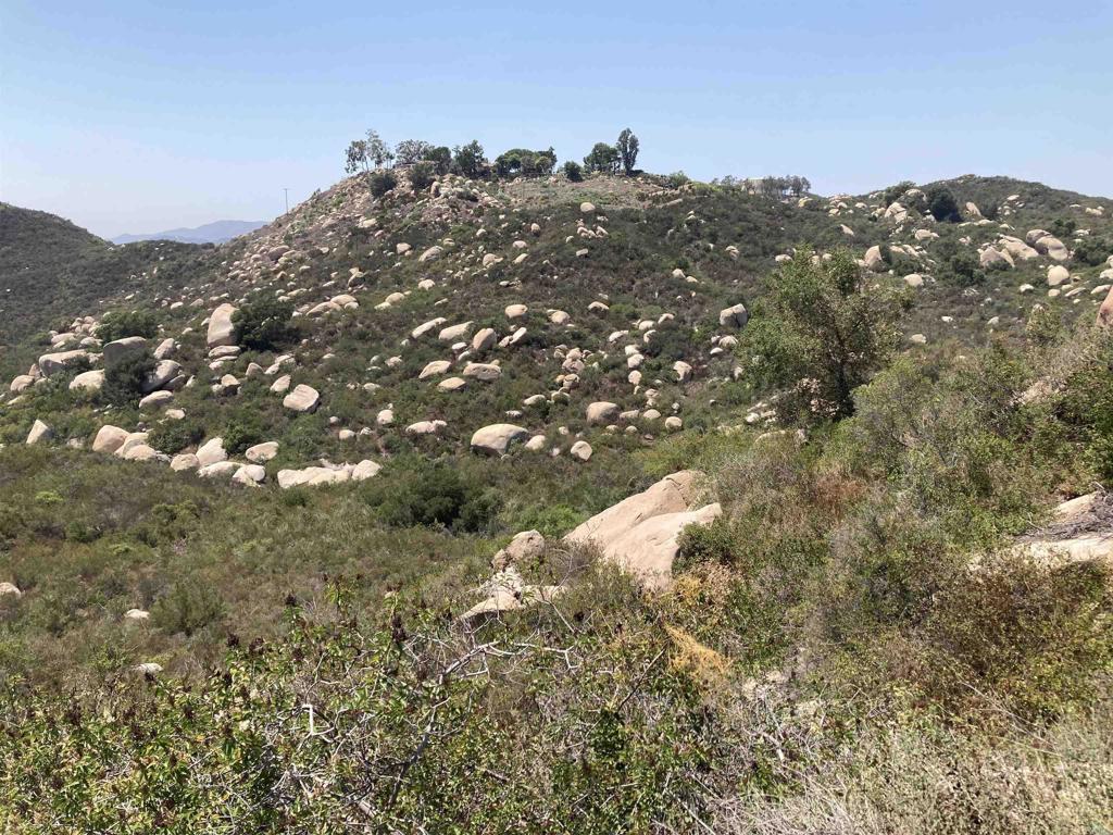 MLS #NDP2509006 image #23