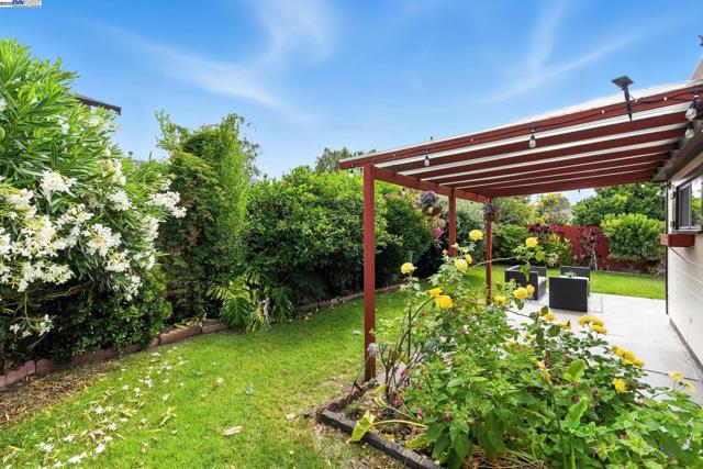 35458 Orleans Dr, Newark CA: https://media.crmls.org/mediaz/70665078-b3a0-4bb2-a36b-b04e9f8e0700.jpg