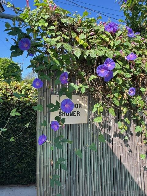 2602 N Louise, Santa Ana CA: https://media.crmls.org/mediaz/706a5a81-c7e4-4459-9b20-e7b798bb886e.jpg