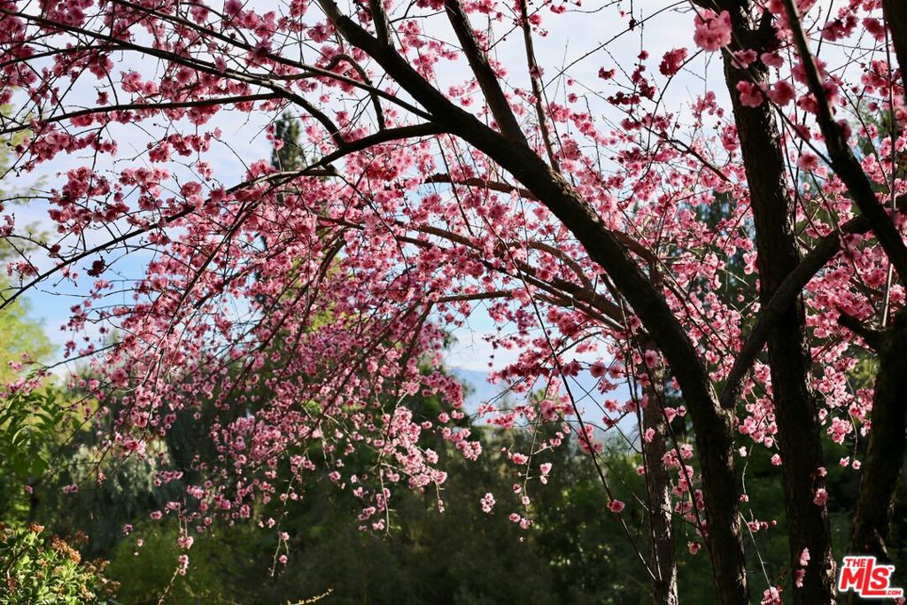 https://media.crmls.org/mediaz/706b3bfa-b4e5-4ac9-9b4f-82883b3c63e6.jpg?preset=X-Large