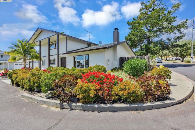 216 Appian Way, Union City CA: https://media.crmls.org/mediaz/706c90fa-c00c-4c41-b122-ba07ca426dcc.jpg