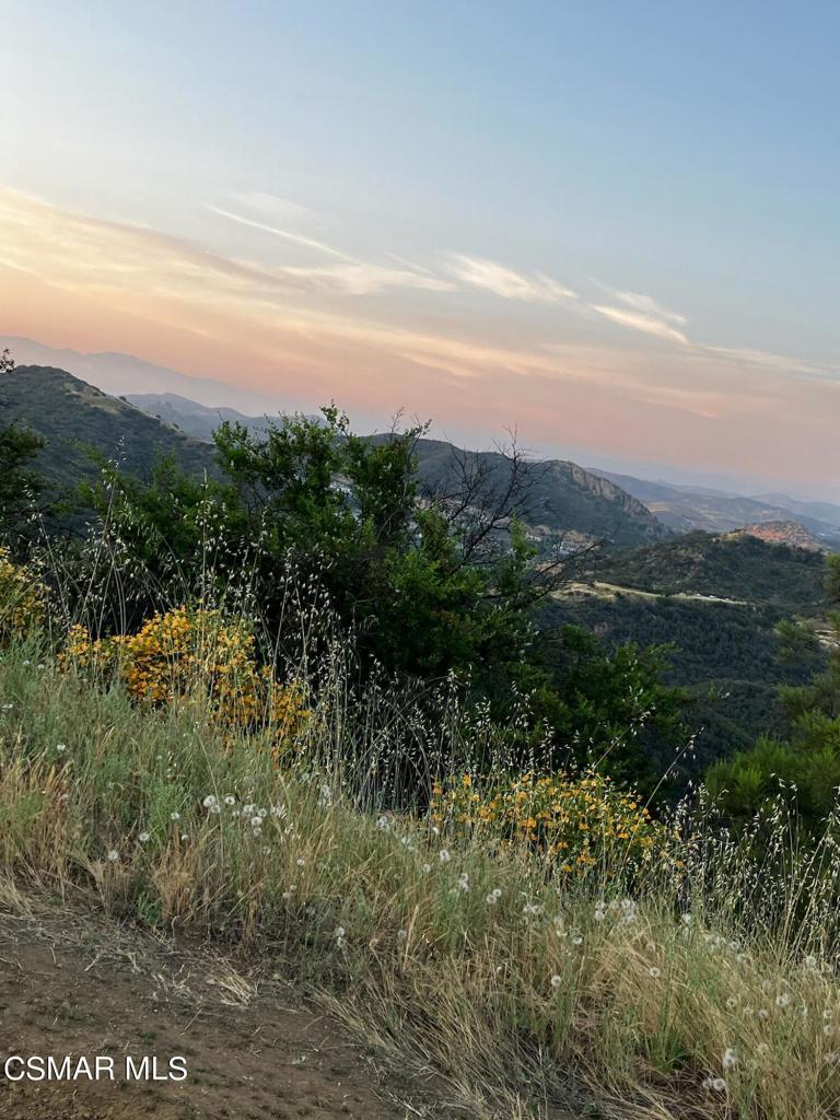https://media.crmls.org/mediaz/70727380-0d1a-4985-9330-5eb507679ca1.jpg?preset=X-Large