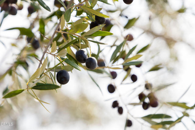 Detail Gallery Image 66 of 70 For 17350 Deer Meadows Rd, Boonville,  CA 95415 - 3 Beds | 2 Baths