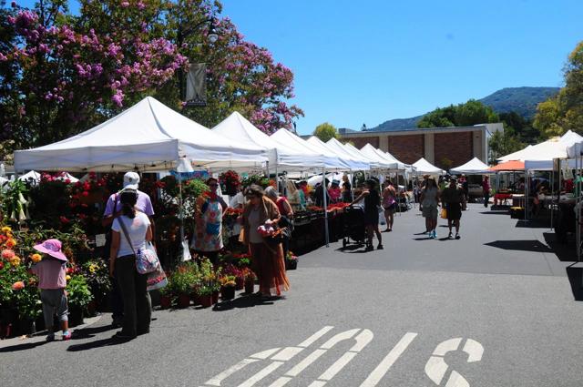 22187 Old Santa Cruz Highway, Los Gatos CA: https://media.crmls.org/mediaz/7080636a-f5d9-4948-94e0-b2d1ea6e6f6d.jpg