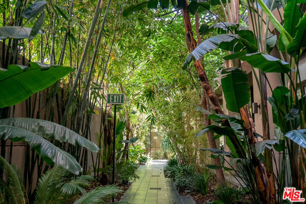 https://media.crmls.org/mediaz/7081616b-57f6-41c5-b604-d9608d93e0cb.jpg?preset=X-Large
