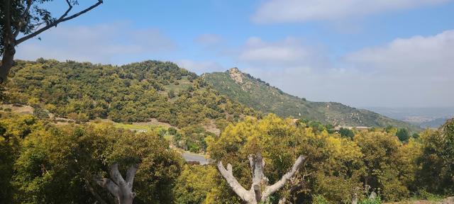 0 Avenida Mil Flores, Bonsall, California 92003, ,Residential Land,For Sale,Avenida Mil Flores,NDP2404555