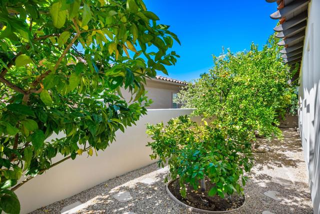 326 Loch Lomond Road, Rancho Mirage CA: https://media.crmls.org/mediaz/7098f95f-27a0-463e-a48b-28aefaca0172.jpg