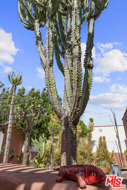 931 S Ogden Drive, Los Angeles CA: https://media.crmls.org/mediaz/709da721-7dba-4ac1-9b74-24e5cb655896.jpg