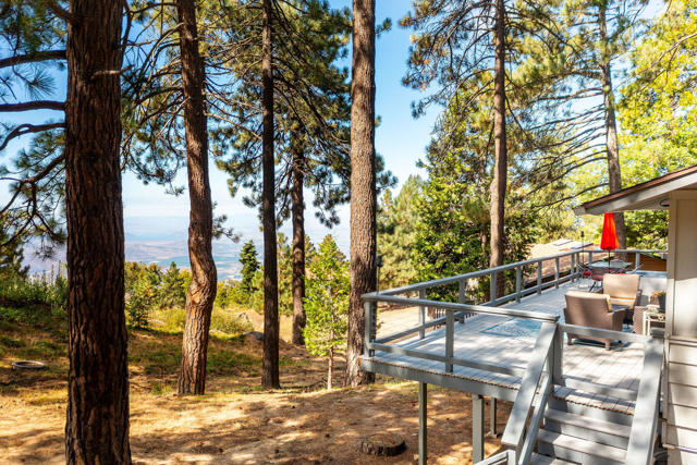 View Off Back Deck