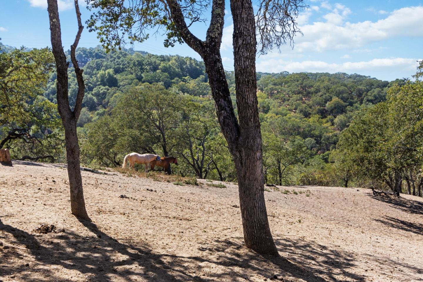 17465 Chesbro Lake Drive, Morgan Hill CA: https://media.crmls.org/mediaz/70a9dd48-30d9-4fa7-8c61-33593db7a88f