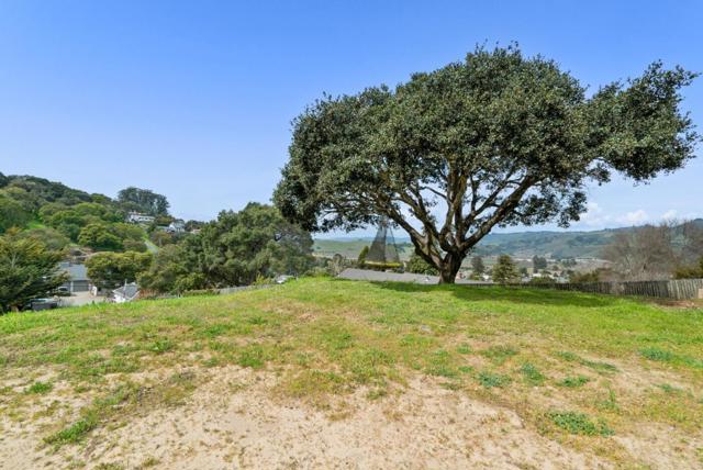 Image 48 of 51 For 386 Carpenteria Road