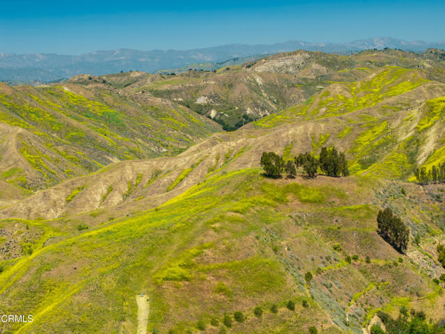 1251 Via Cielito, Ventura CA: https://media.crmls.org/mediaz/70ab8079-460d-4683-a975-009bc924ceed.jpg