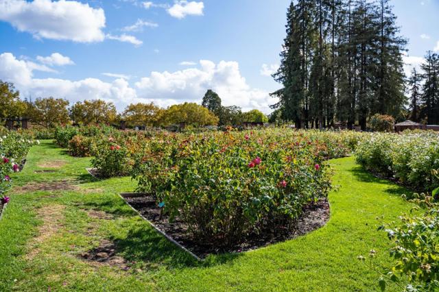 1190 Emory Street, San Jose CA: https://media.crmls.org/mediaz/70b030eb-8d09-4382-a2d2-914ef6526954.jpg