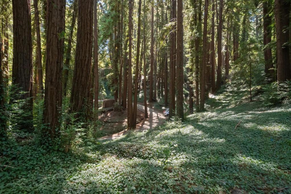 MLS #ML81988191 image #6