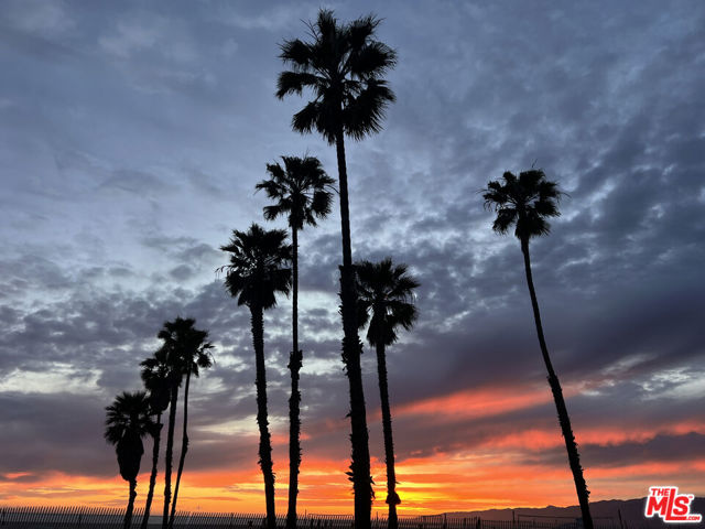 721 Pine Street, Santa Monica CA: https://media.crmls.org/mediaz/70d0efc6-c868-44d4-82bf-20d14366113b.jpg