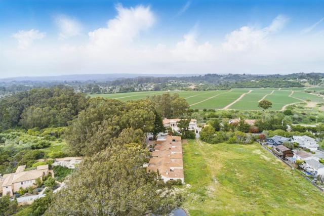 115 Oceanview Drive, Watsonville CA: https://media.crmls.org/mediaz/70ea3369-2daa-4f7c-bfd5-f074b787b15d.jpg