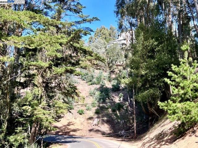 7590 Skyline Blvd, Oakland CA: https://media.crmls.org/mediaz/70eb6fcb-9029-49db-b5a1-1e745ad44159.jpg