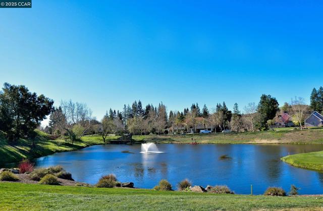 715 Blue Spruce Dr, Danville CA: https://media.crmls.org/mediaz/70fcaacb-22f0-43ad-aac5-34ac231a9b34.jpg