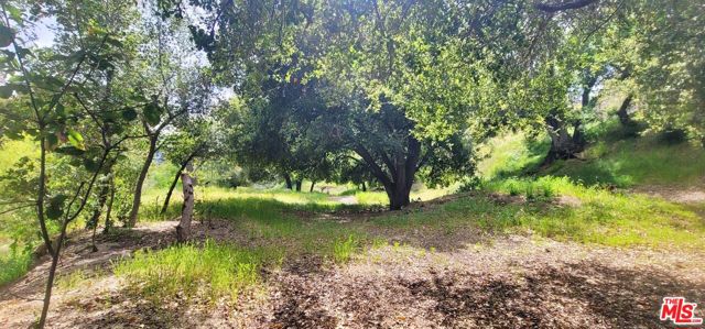 11402 Eby Canyon Road photo 4
