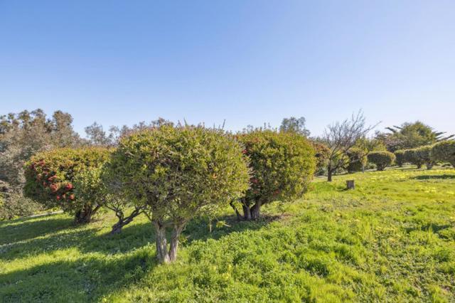 1550 Frontera Way, Millbrae CA: https://media.crmls.org/mediaz/711866c1-e7d2-41b6-9a16-5f028615dbb8.jpg