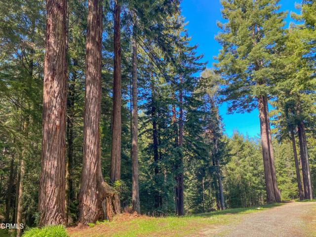 15137 Mitchell Creek Drive, Fort Bragg CA: https://media.crmls.org/mediaz/71190769-6482-487a-9a0e-122e4713ba8e.jpg