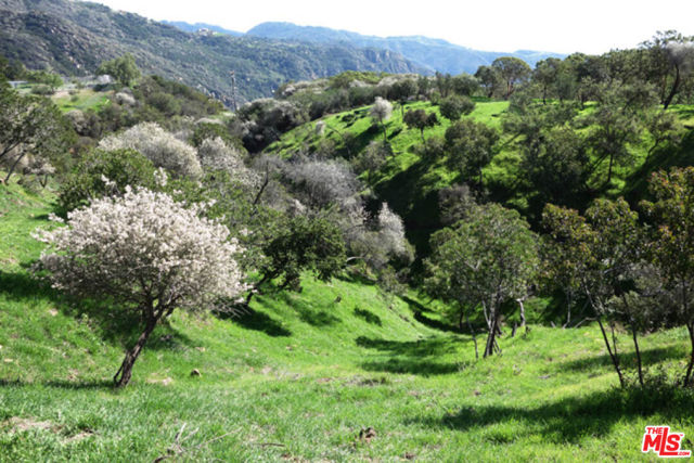 Drew Fenton | 524 Moonrise Malibu CA | MLS: 7289796 Drew Fenton | 524 Moonrise Malibu CA | MLS: 7289796