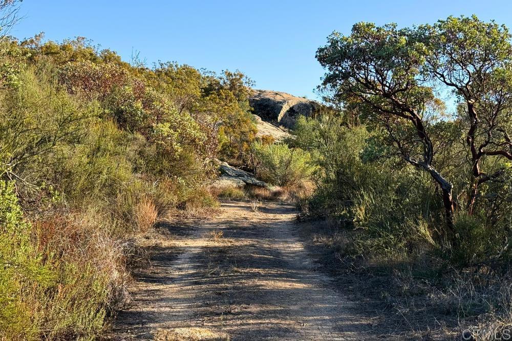 MLS #PTP2507282 image #24