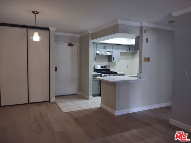 1119 Albany Street, Los Angeles CA: https://media.crmls.org/mediaz/7128cdfa-a51b-4eeb-b2ed-c2f0d2e514cf.jpg
