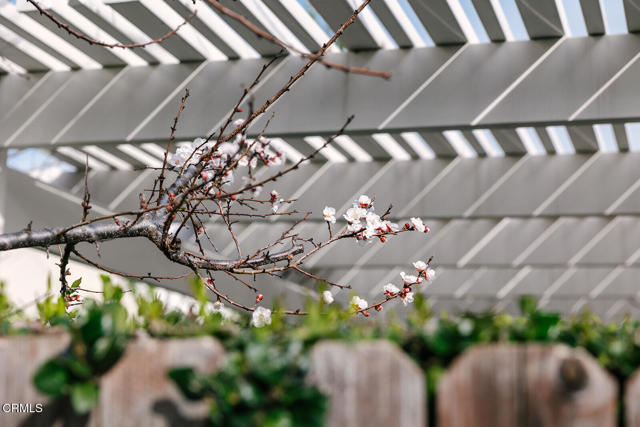 Detail Gallery Image 52 of 72 For 2506 Weston Pl, Glendale,  CA 91208 - 3 Beds | 2 Baths