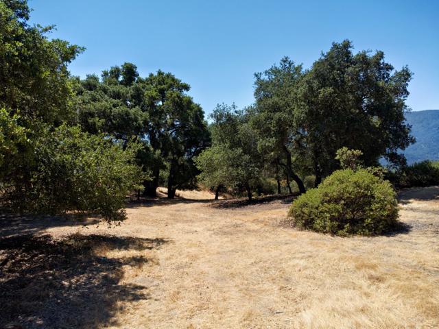 57 Chamisal, Carmel CA: https://media.crmls.org/mediaz/713f206f-a630-4fb5-a1e9-bc16982e37ea.jpg