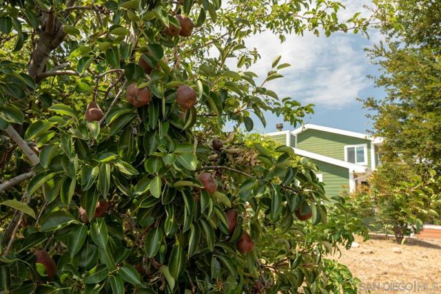 16690 Iron Springs Rd, Julian CA: https://media.crmls.org/mediaz/7141df9c-ad8b-4744-a3c7-ce42f625e423.jpg