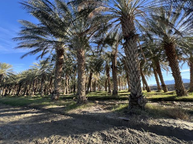 0 Nwc Pierce St & Ave 64, Thermal CA: https://media.crmls.org/mediaz/714f1afd-32f5-4399-bff2-5a97eb74b92d.jpg