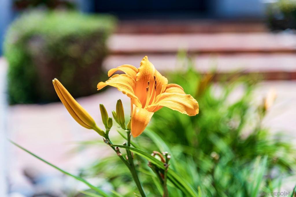 https://media.crmls.org/mediaz/71532a96-a2fe-456b-9c12-e8d82b98f17e.jpg?preset=X-Large