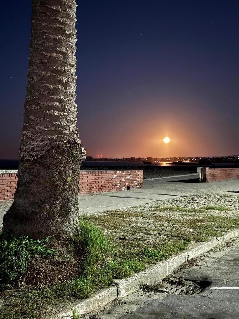 https://media.crmls.org/mediaz/715bdec7-26b8-42b8-911f-95b5426c4d9b.jpg?preset=X-Large