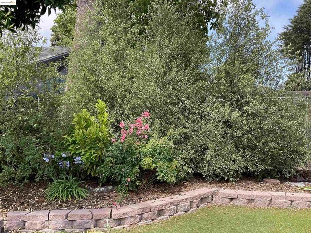 4091 Garden Rd, El Sobrante CA: https://media.crmls.org/mediaz/715fbe3d-069f-4c9f-9459-76594eb94c80.jpg