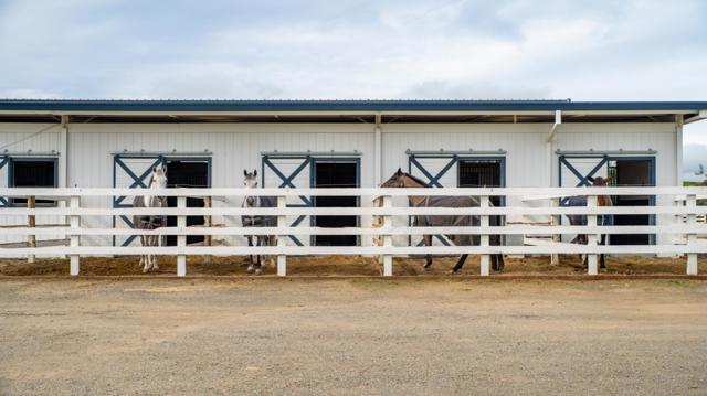 6033 Dagnino Road, Livermore CA: https://media.crmls.org/mediaz/7160427c-e68a-4016-bddf-75ae372ea9f2.jpg