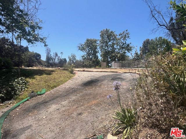 919 Bienveneda Avenue photo 6