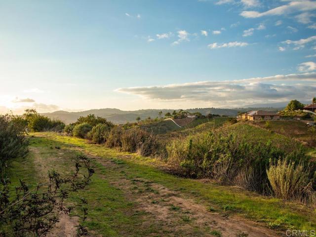 0 Chisholm Trail, Bonsall, California 92003, ,Land,For Sale,0 Chisholm Trail,CRNDP2400890