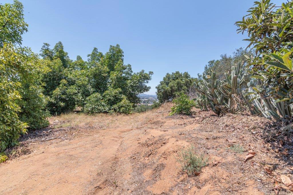 MLS #NDP2507536 image #38